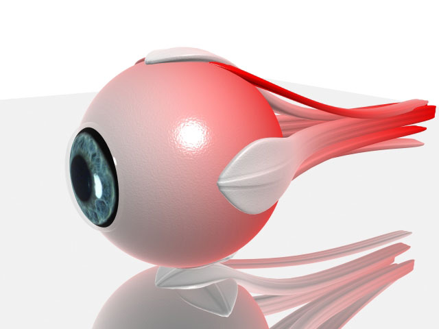 Augenarztpraxis Margarete Pasternak Moderne Diagnostik / Pachymetrie